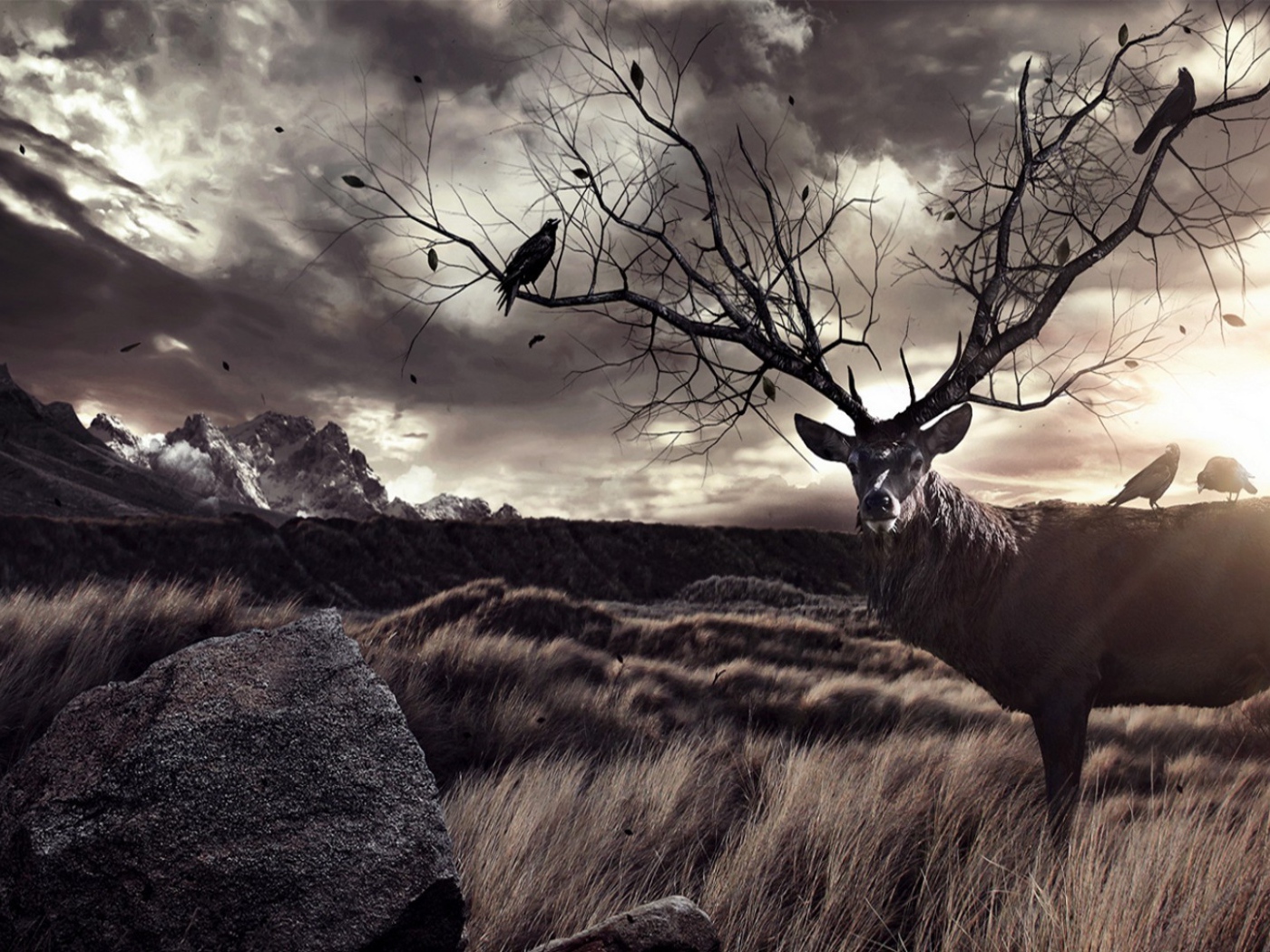 Птицы на ветвистых рогах оленя