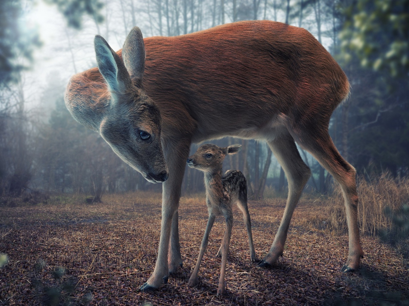 Мама с олененком