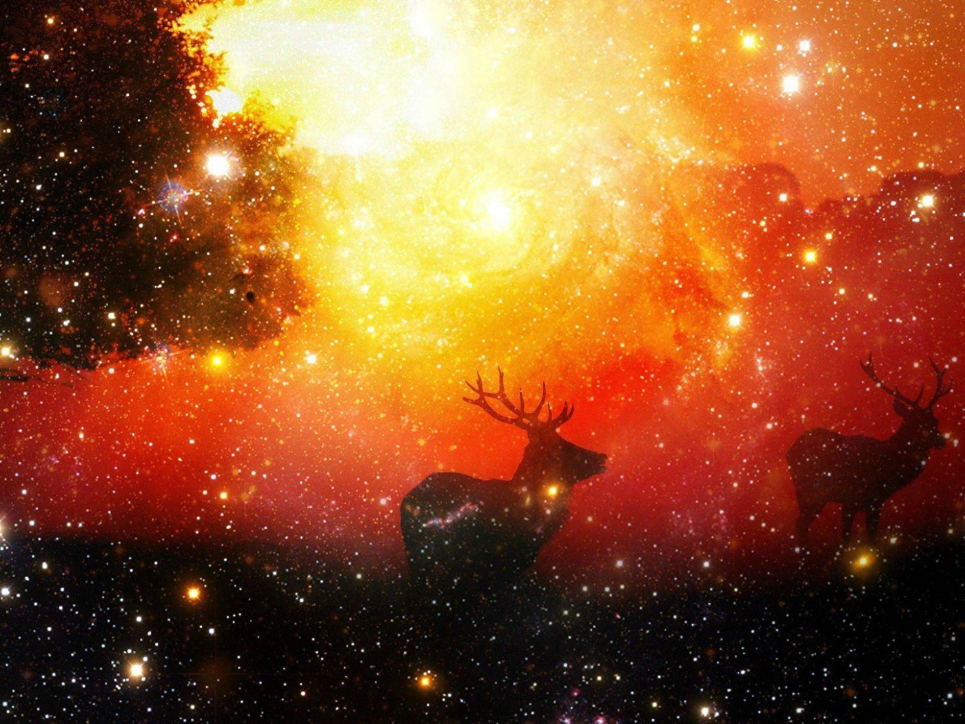 Олени среди звезд