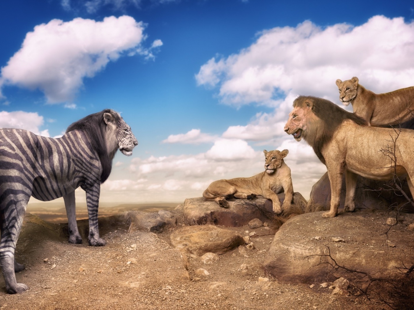 Необычный окрас льва