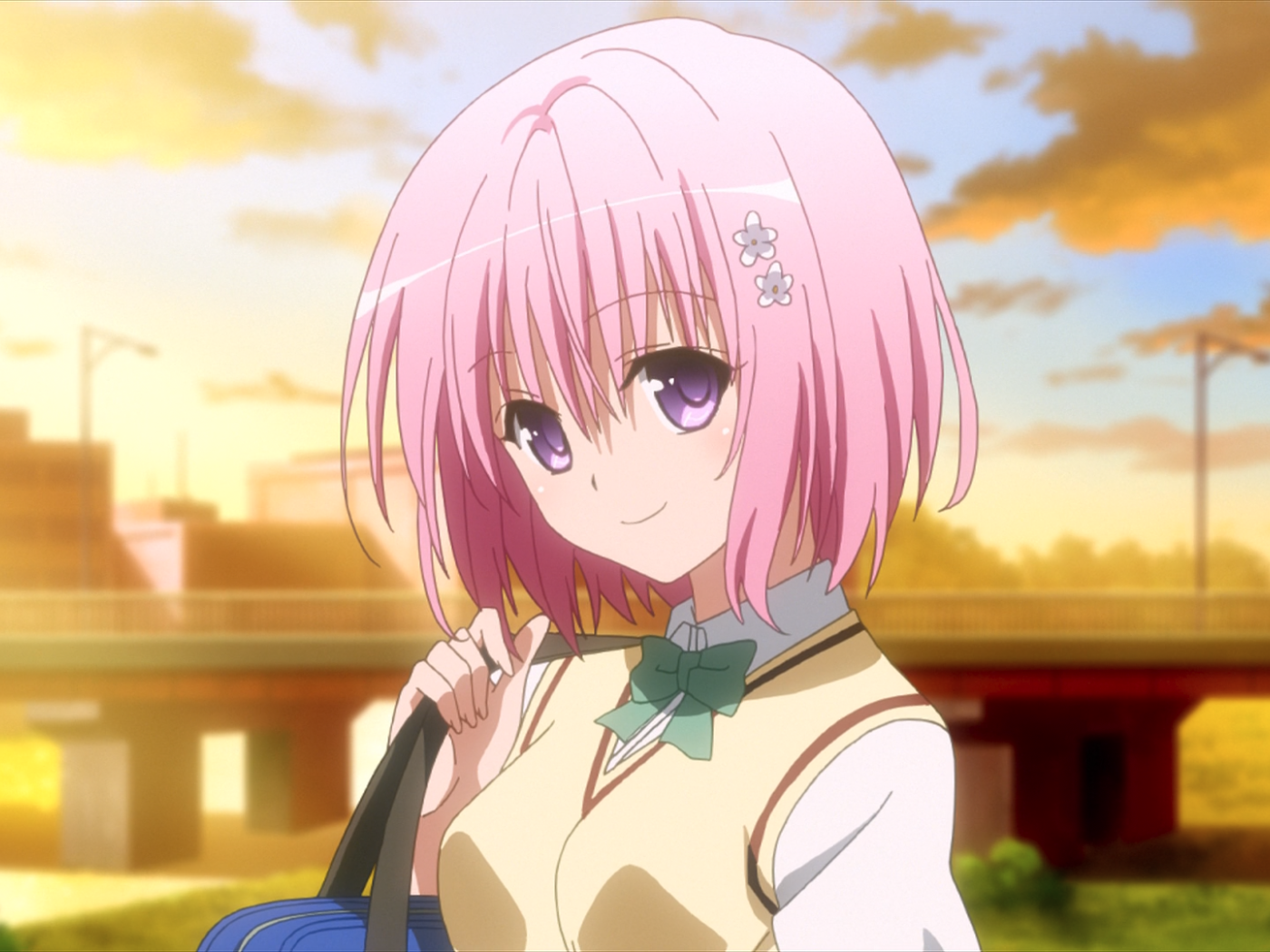 Девушка с розовыми волосами в аниме Любовь и прочие неприятности