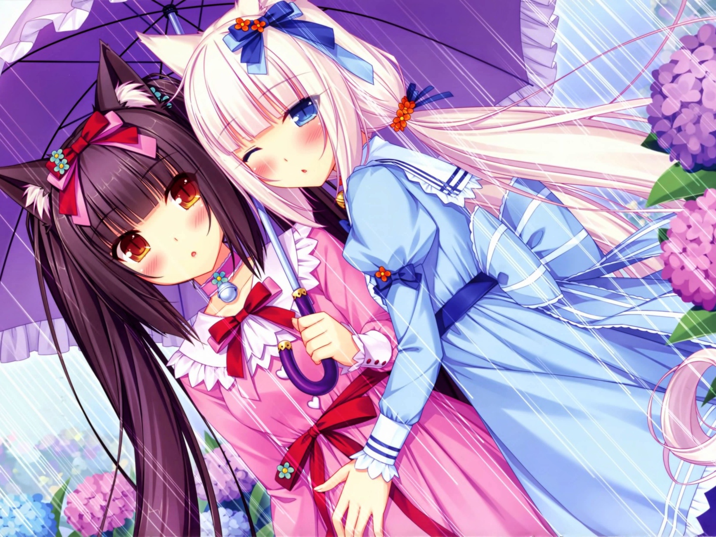 Две подружки под зонтом, аниме Neko Para