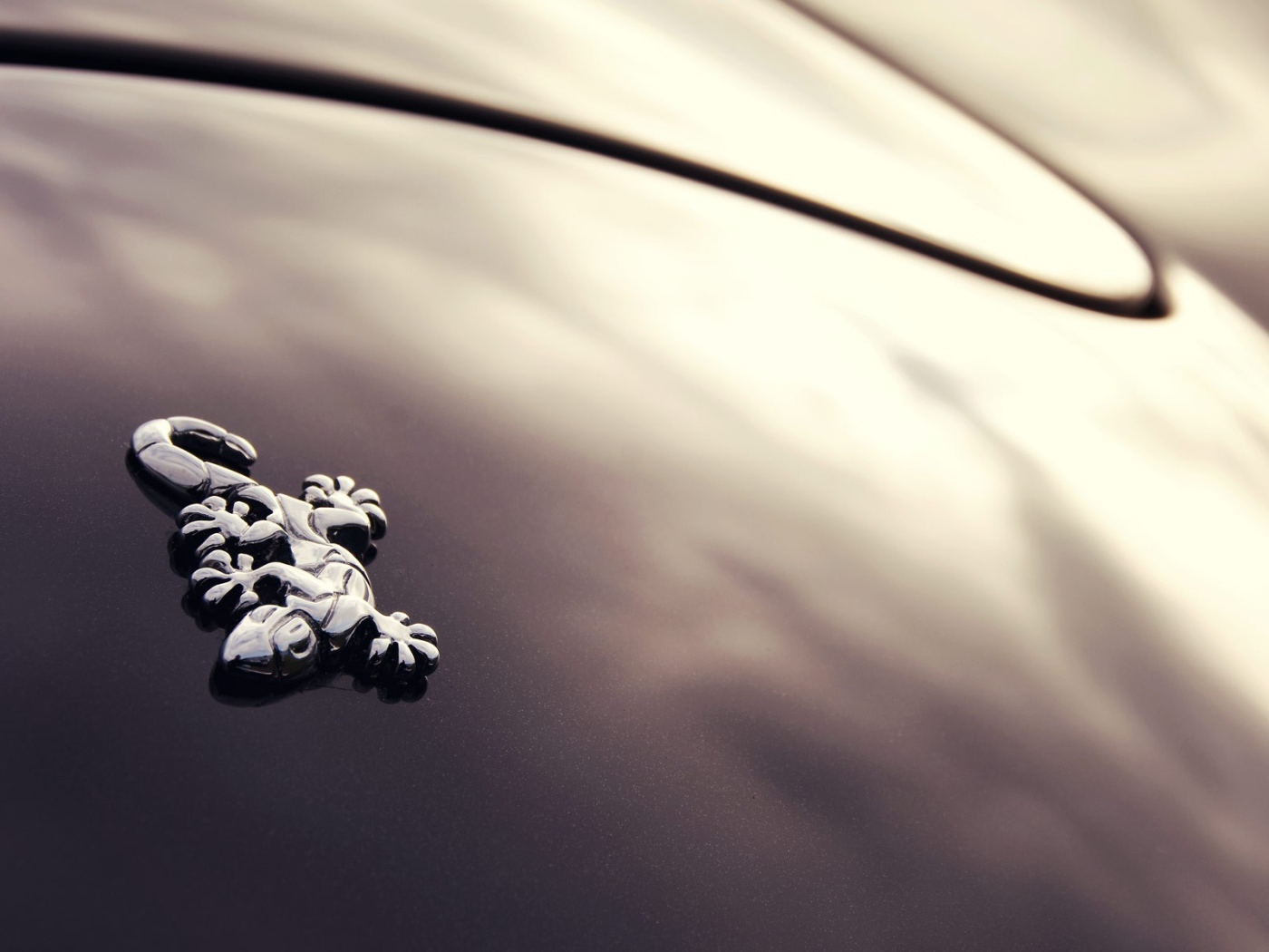 Логотип авто Wiesmann