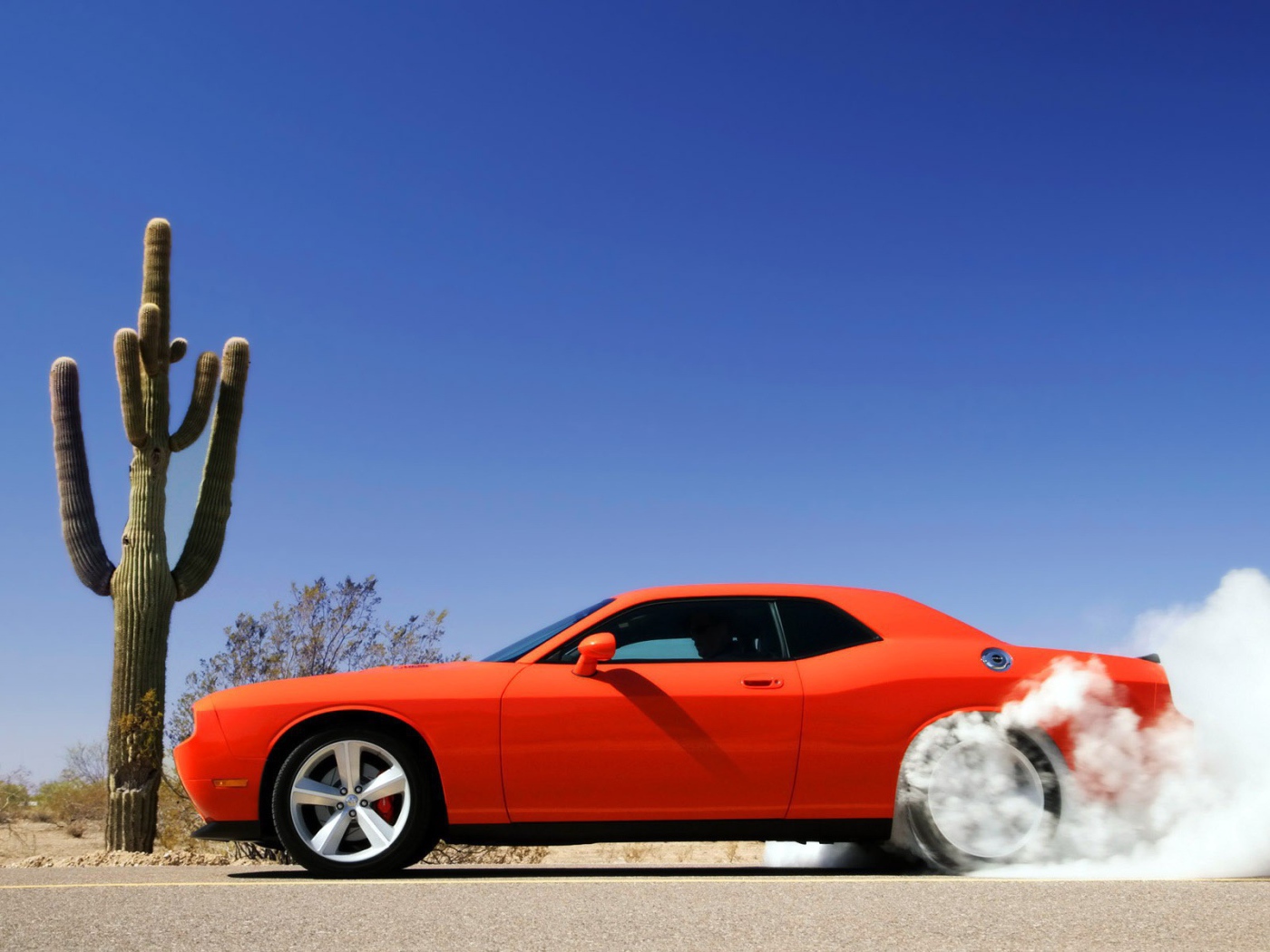 Оранжевый автомобиль стартует возле кактуса