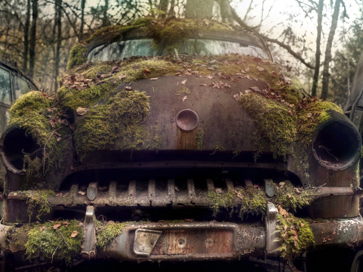 Ржавый корпус старого авто порос мхом