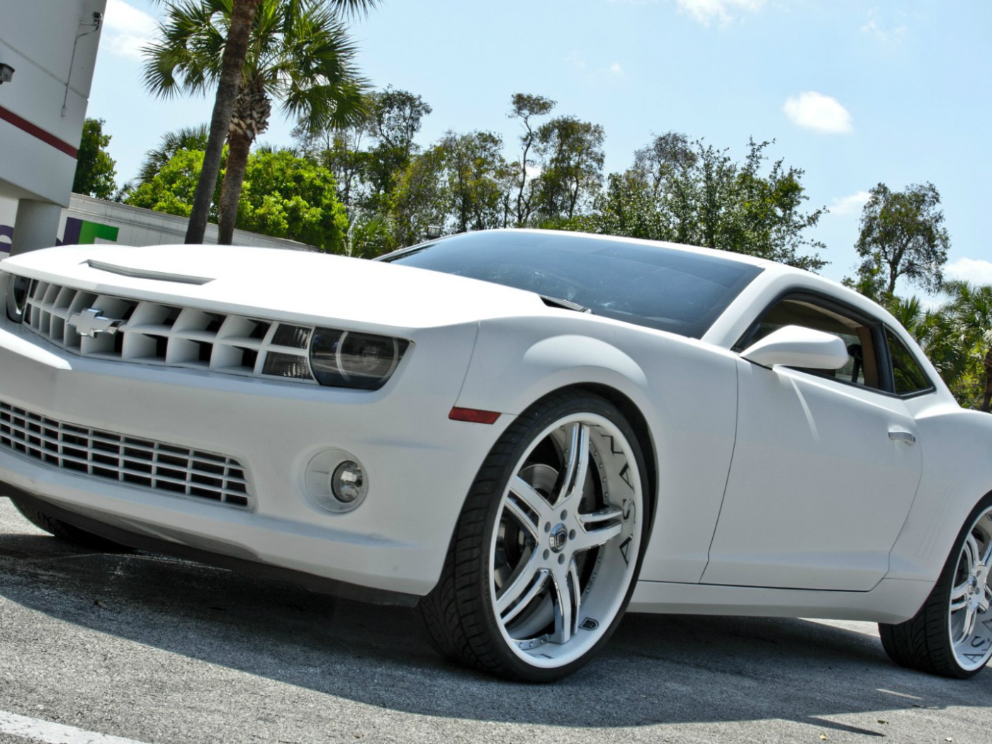 Мощный белый Chevrolet Camaro Asanti