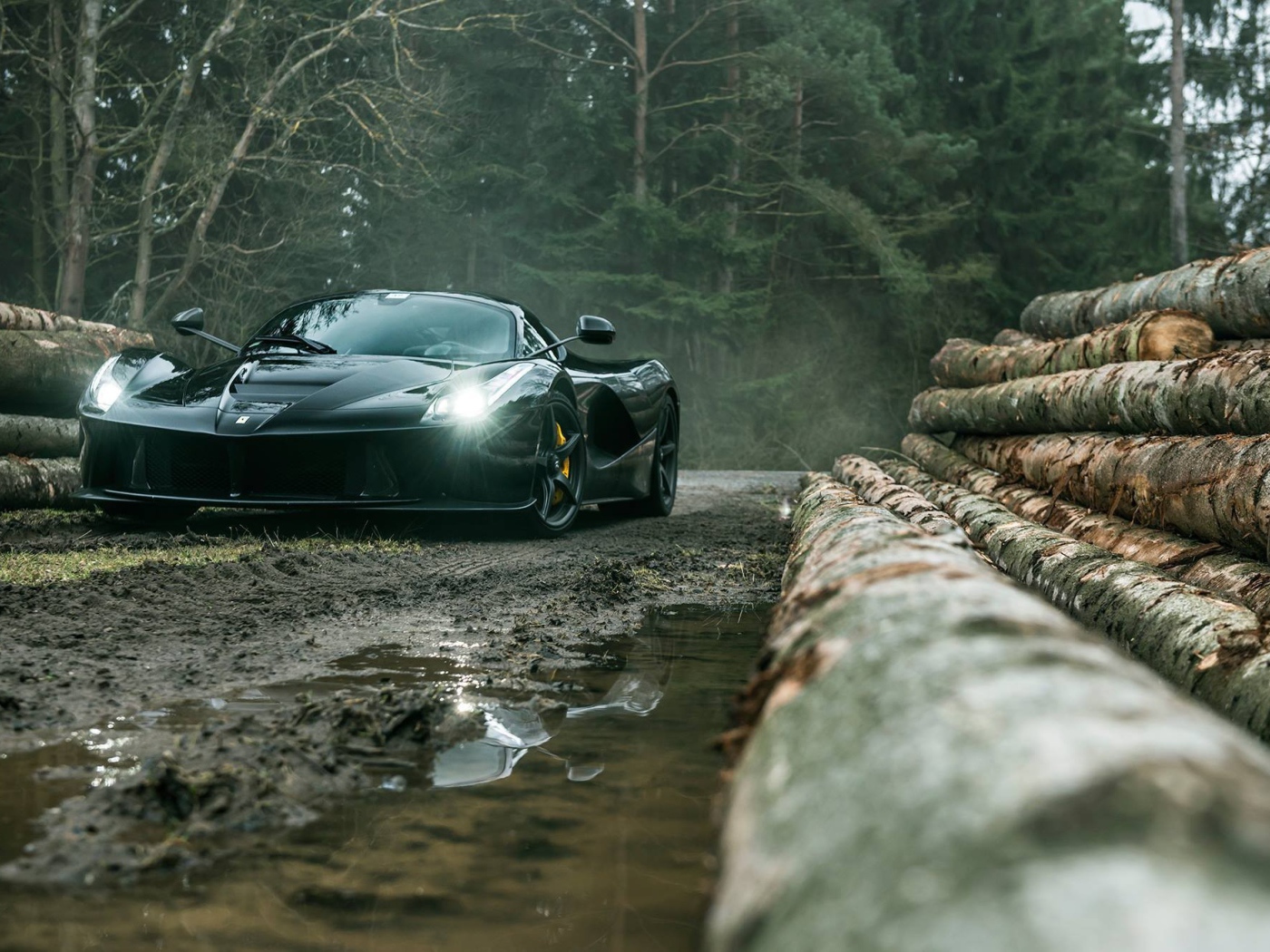 Черный Ferrari LaFerrari на лесоповале