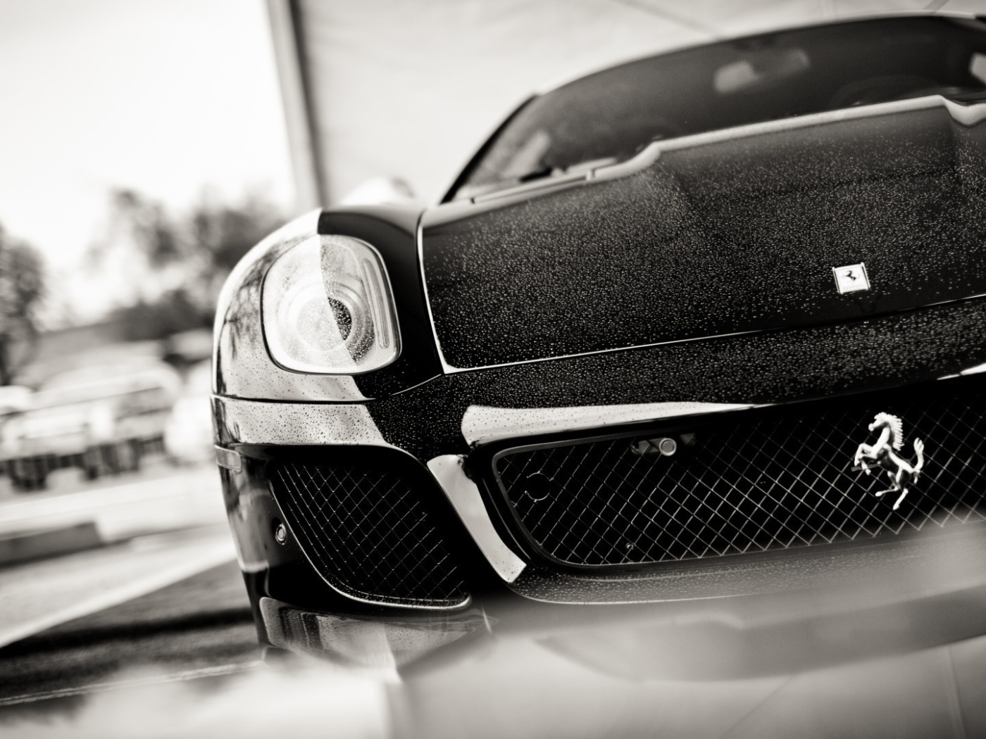 Черно белое фото авто Ferrari