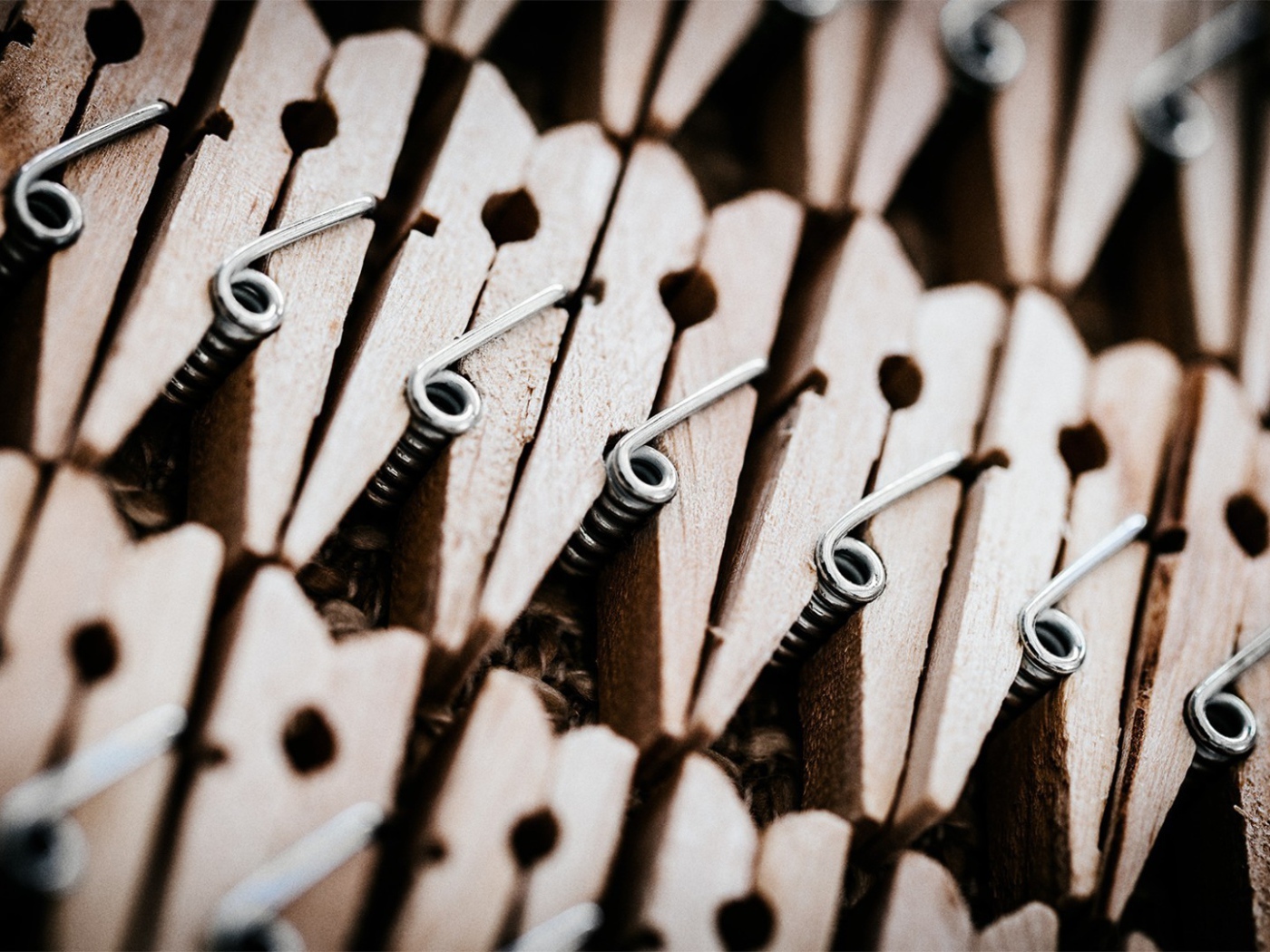 Набор деревянных прищепок