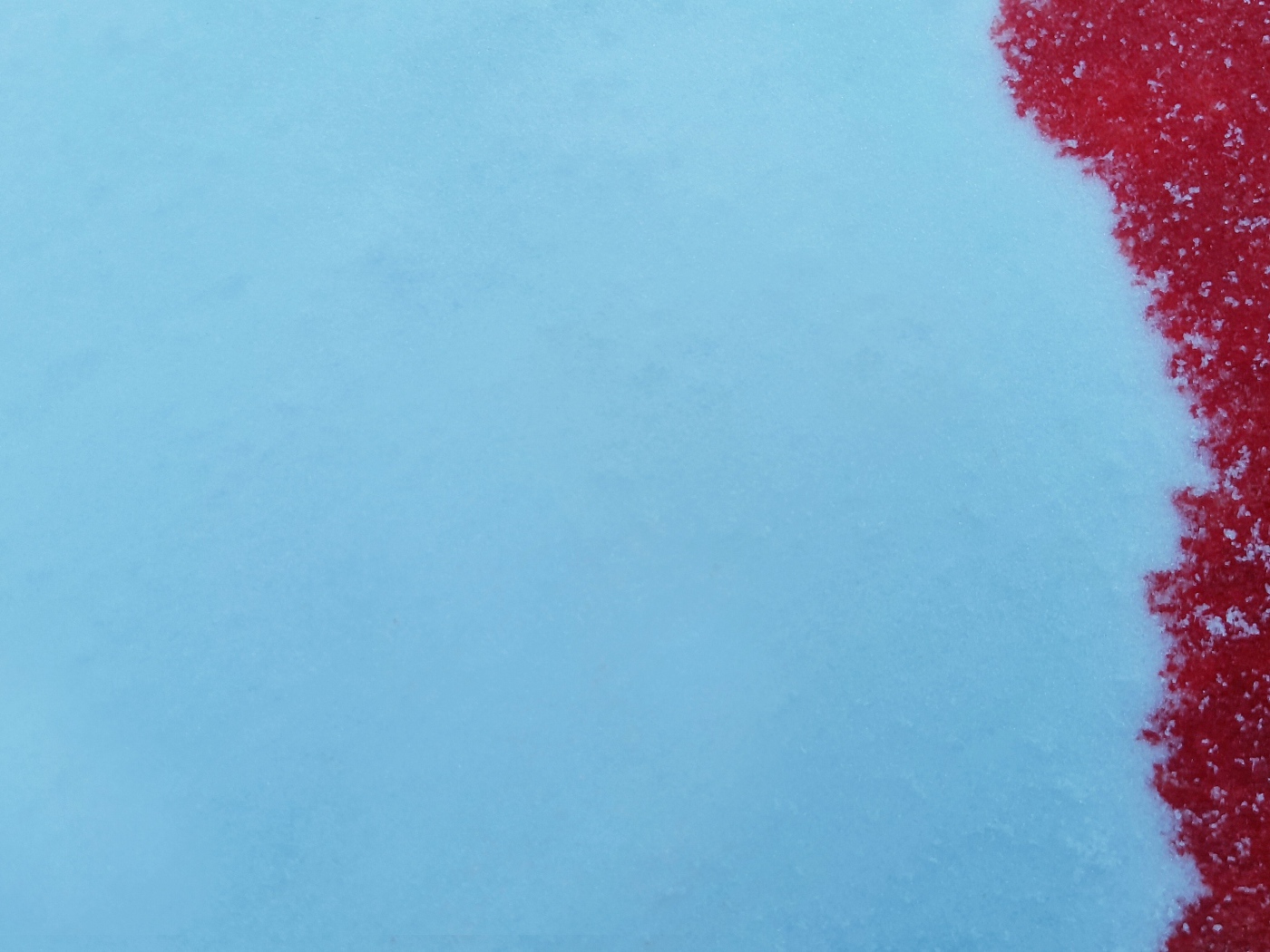 Кровь на голубом снеге