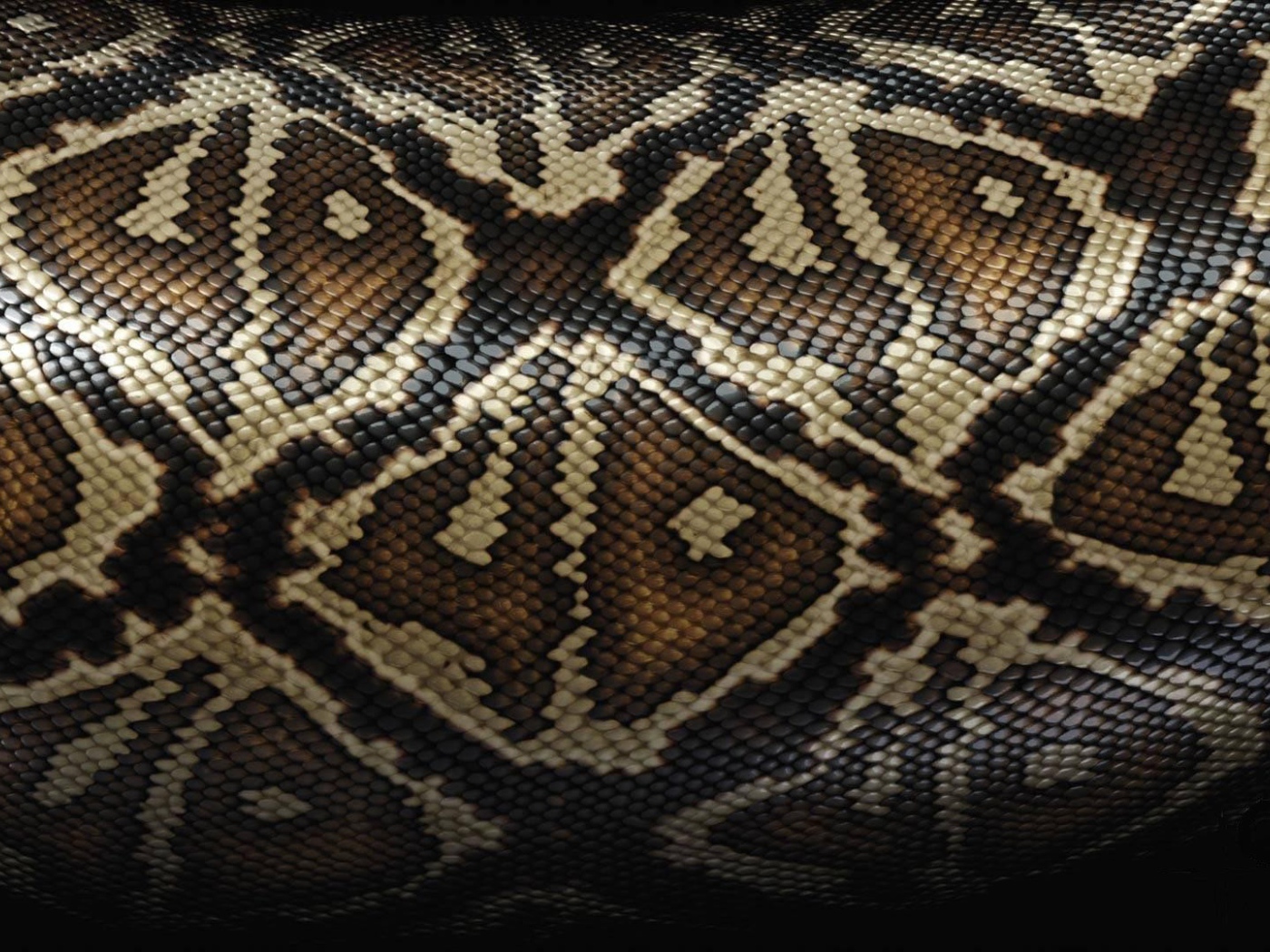 Кожа коричневой змеи, фон