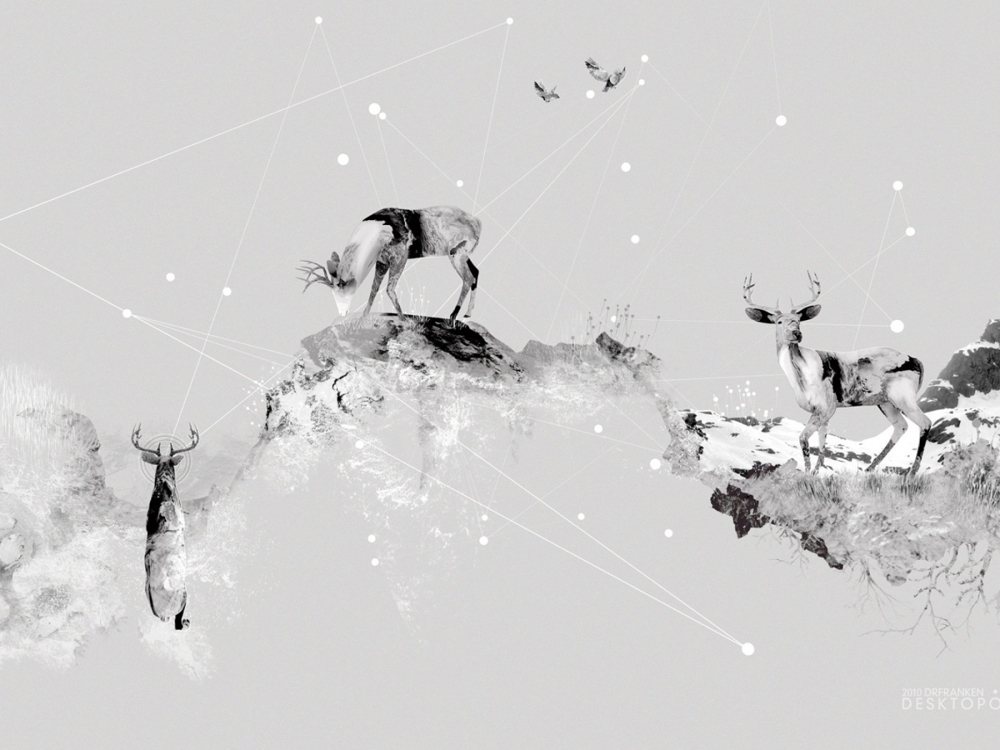 Олени в горах, серый фон