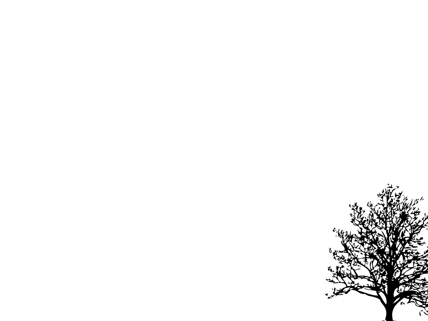 Черное дерево, белый фон