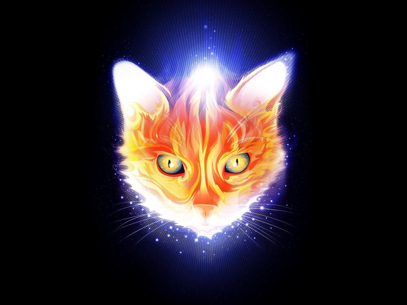 Огненная мордочка кота, черный фон