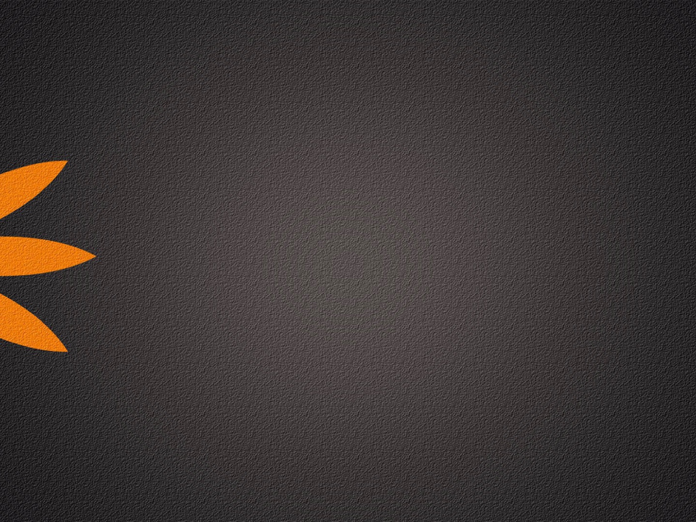 Серый фон, оранжевый цветок