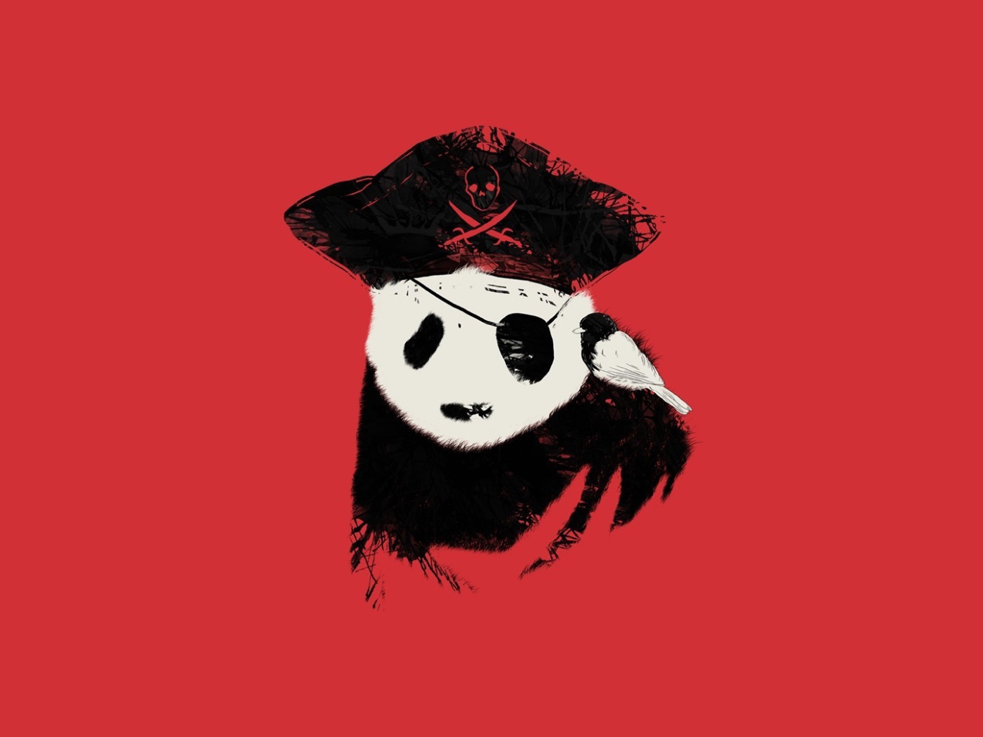 Панда пират, красный фон
