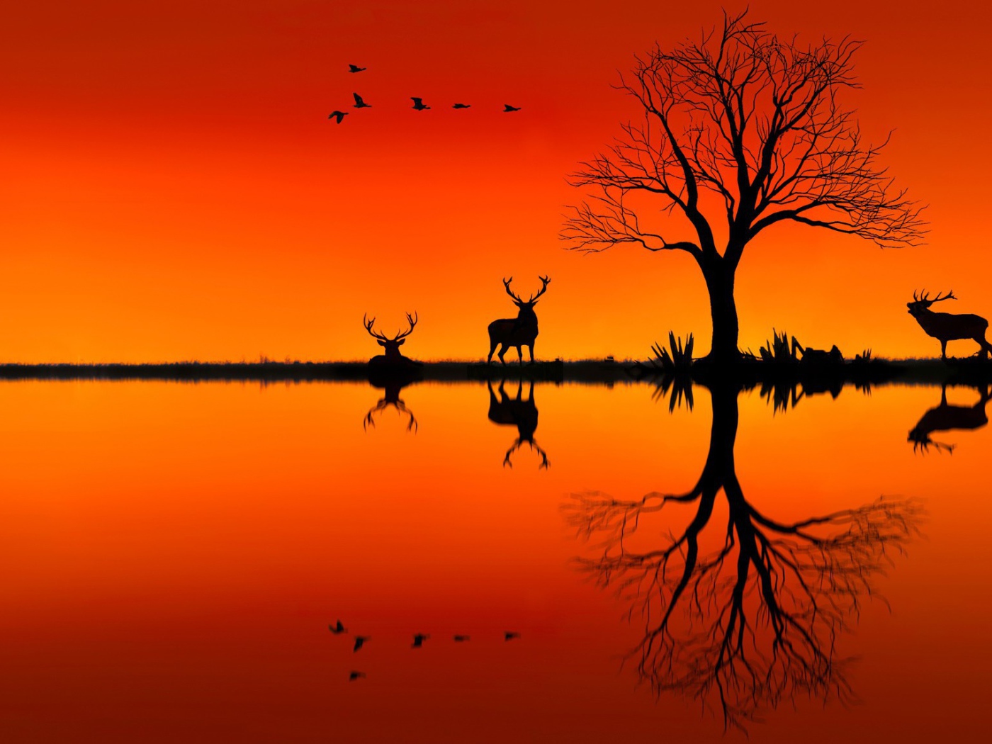 Силуэты оленей на оранжевом фоне