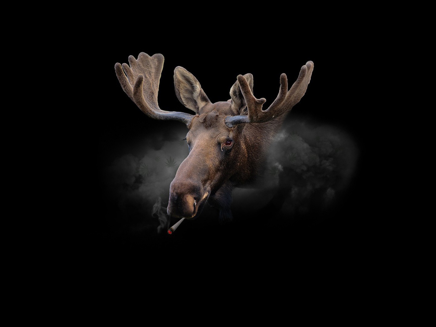 Курящий олень, черный фон