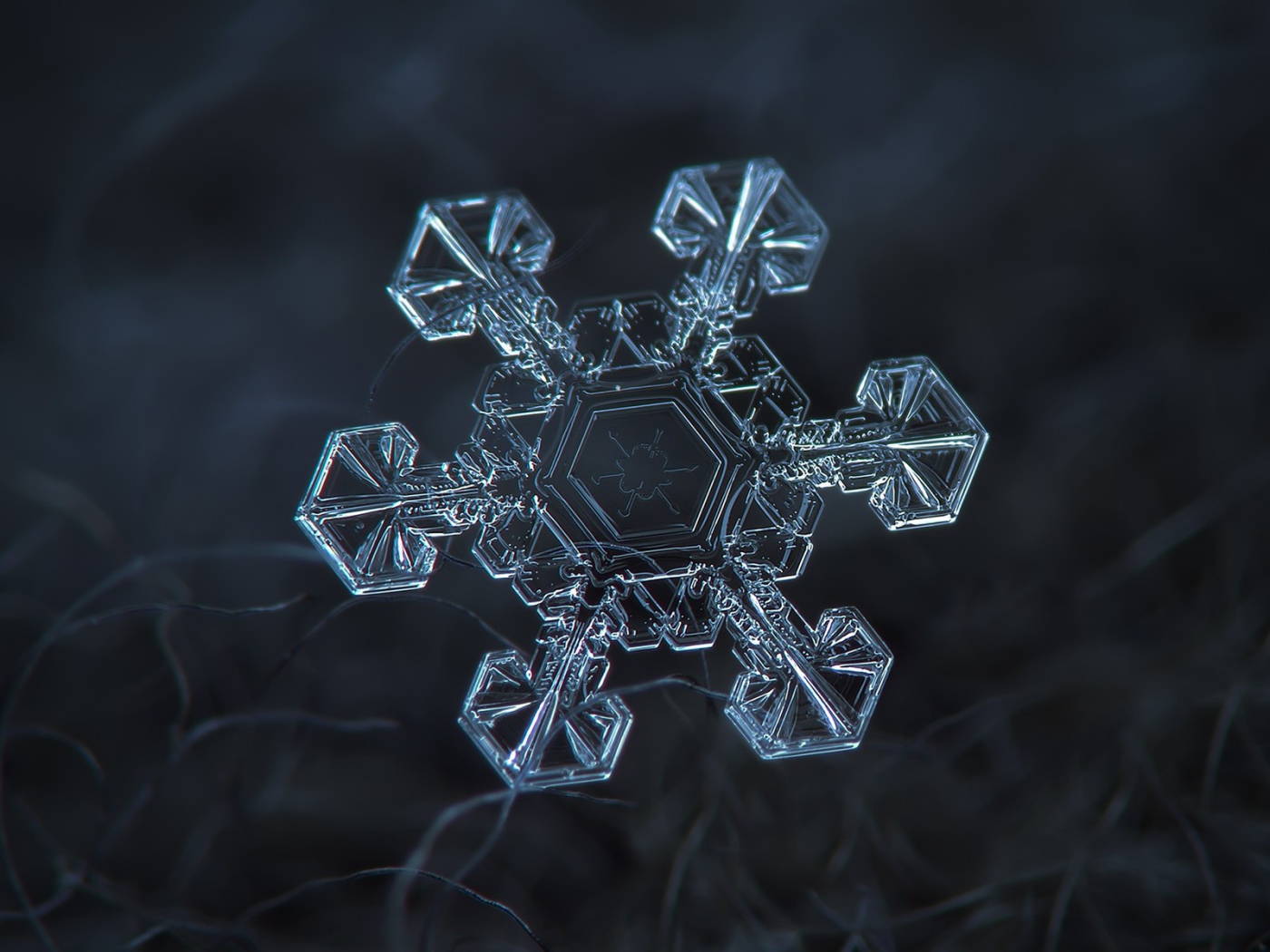Снежинка под увеличением на черном фоне