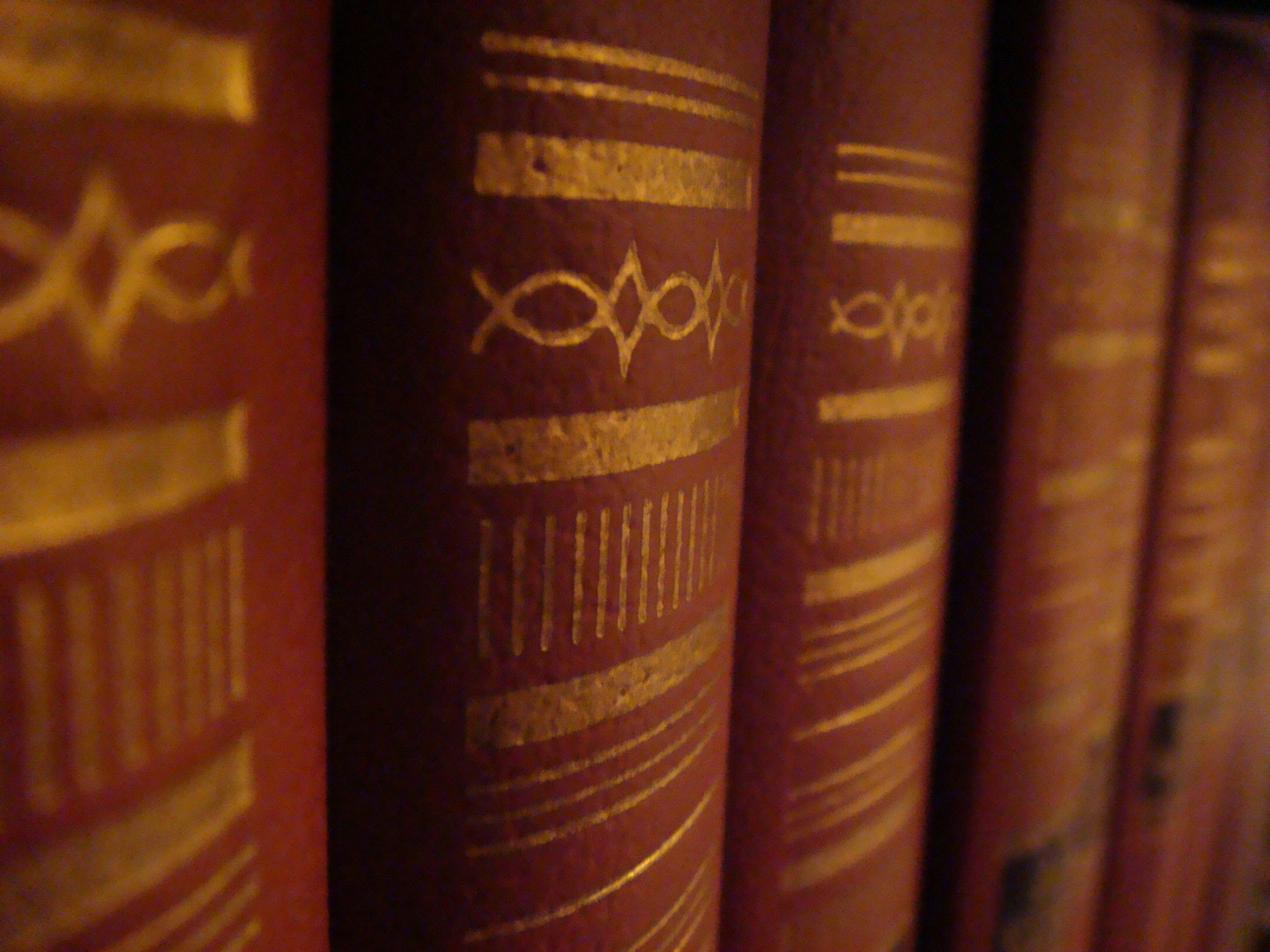 Корешки книг