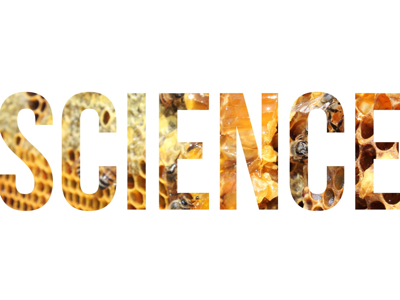 Надпись Наука на фоне улья
