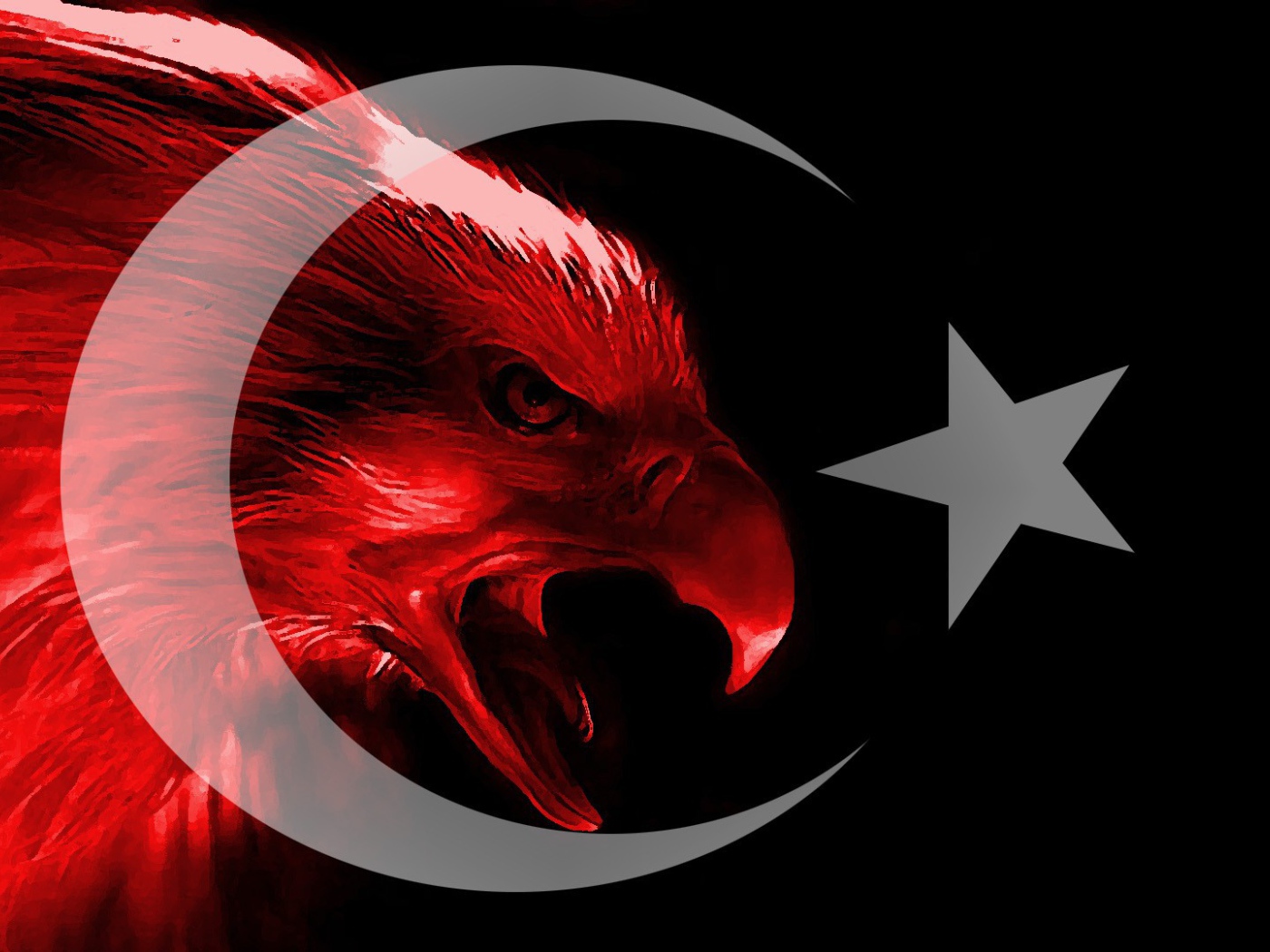 Турецкий красный орел