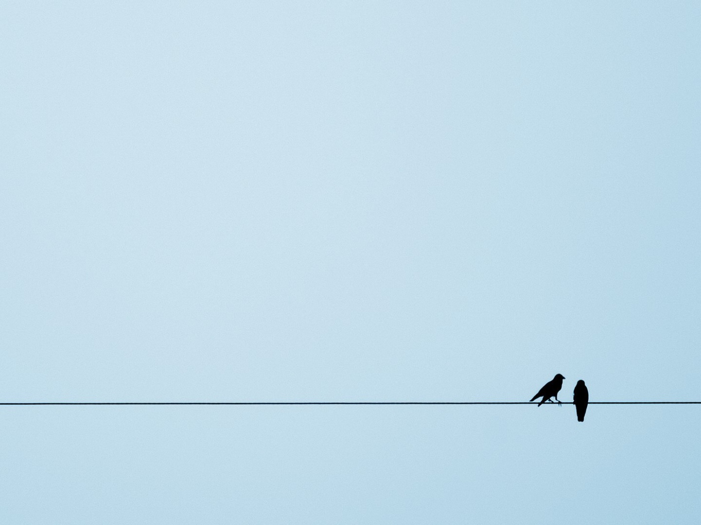 Две птицы на канате, голубой фон