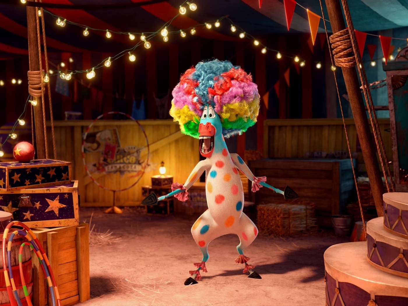 Афро в цирке