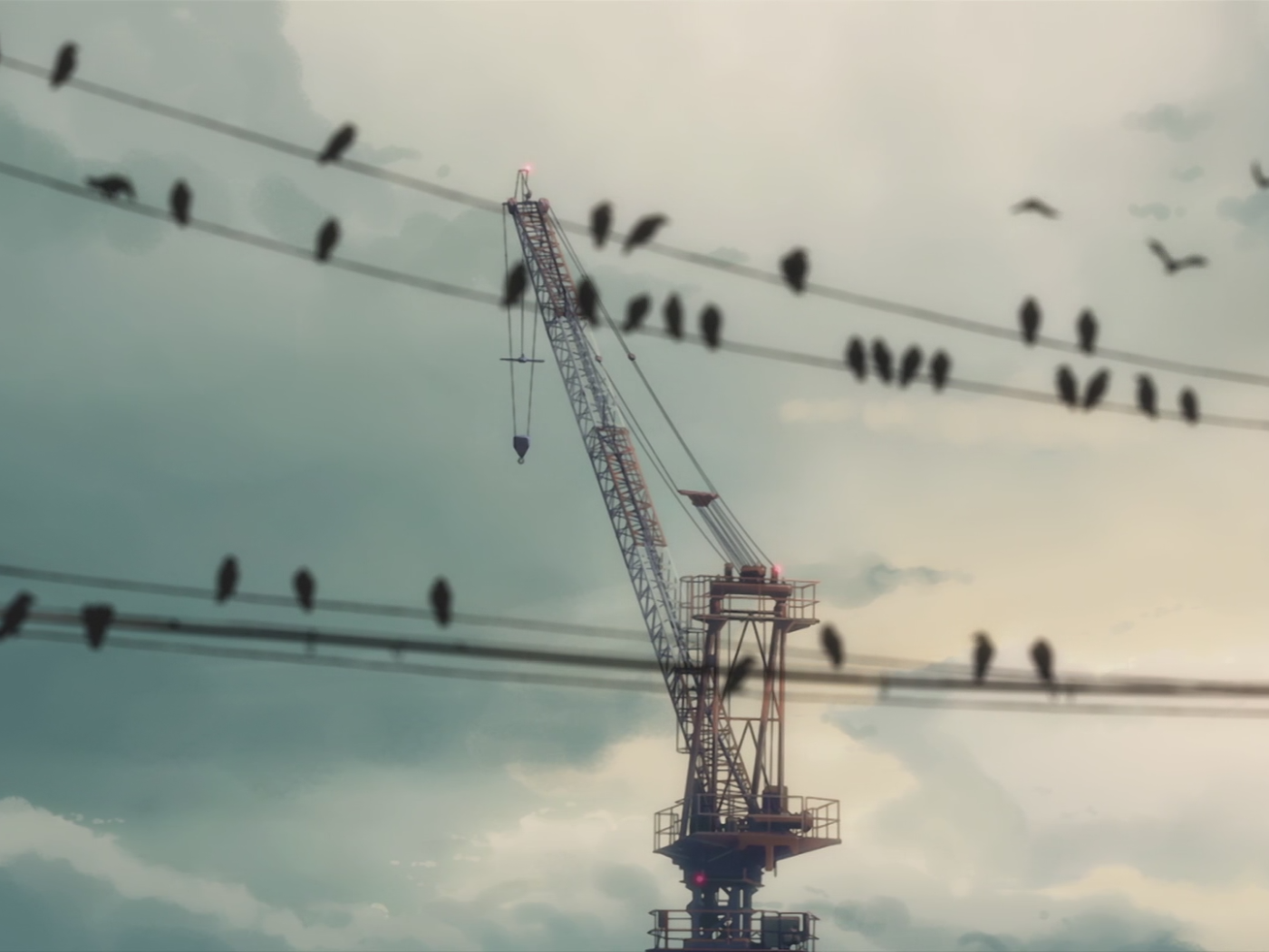 Птицы сидят на проводах на фоне строительного крана
