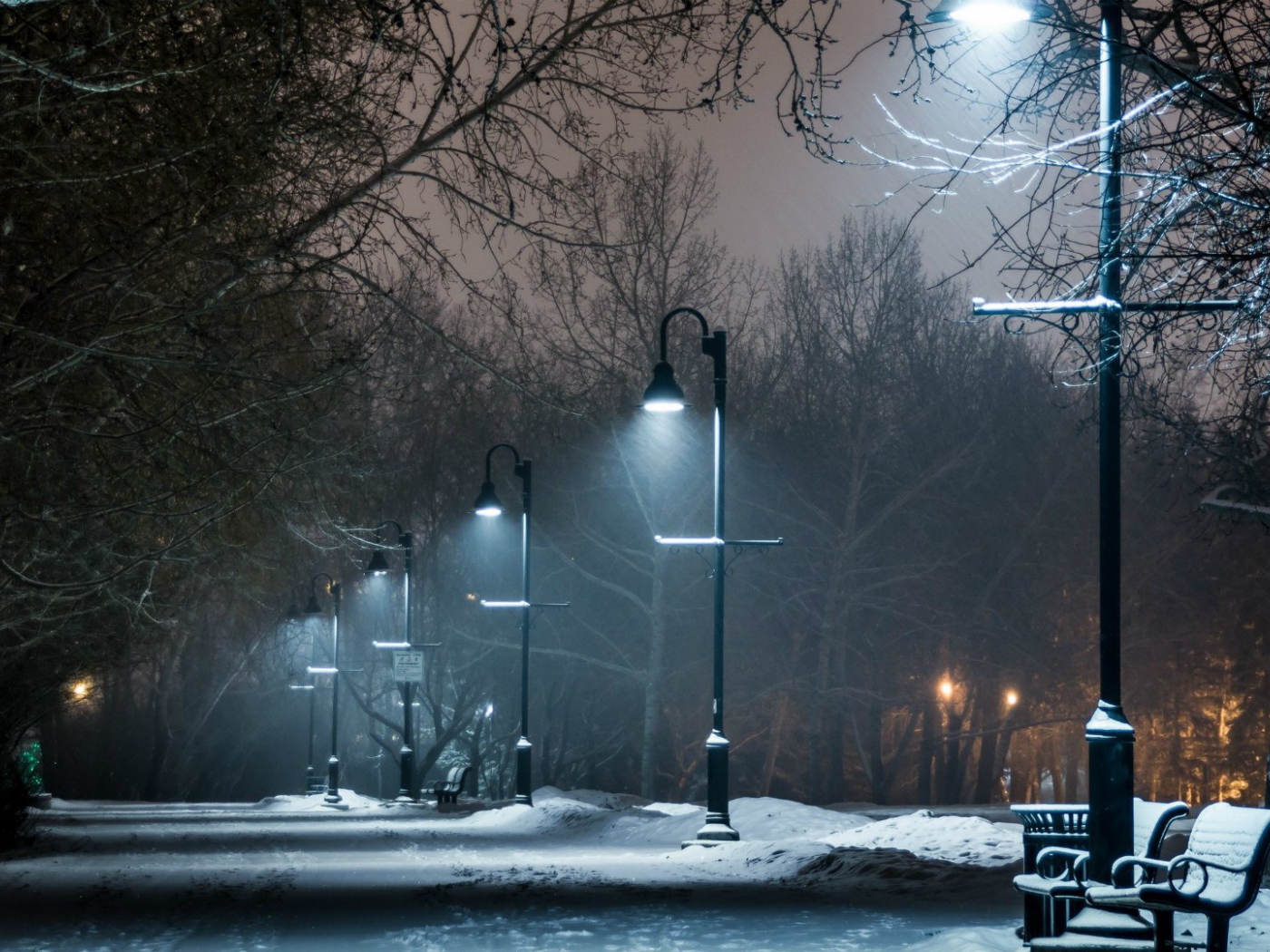 Ночная аллея в зимнем парке