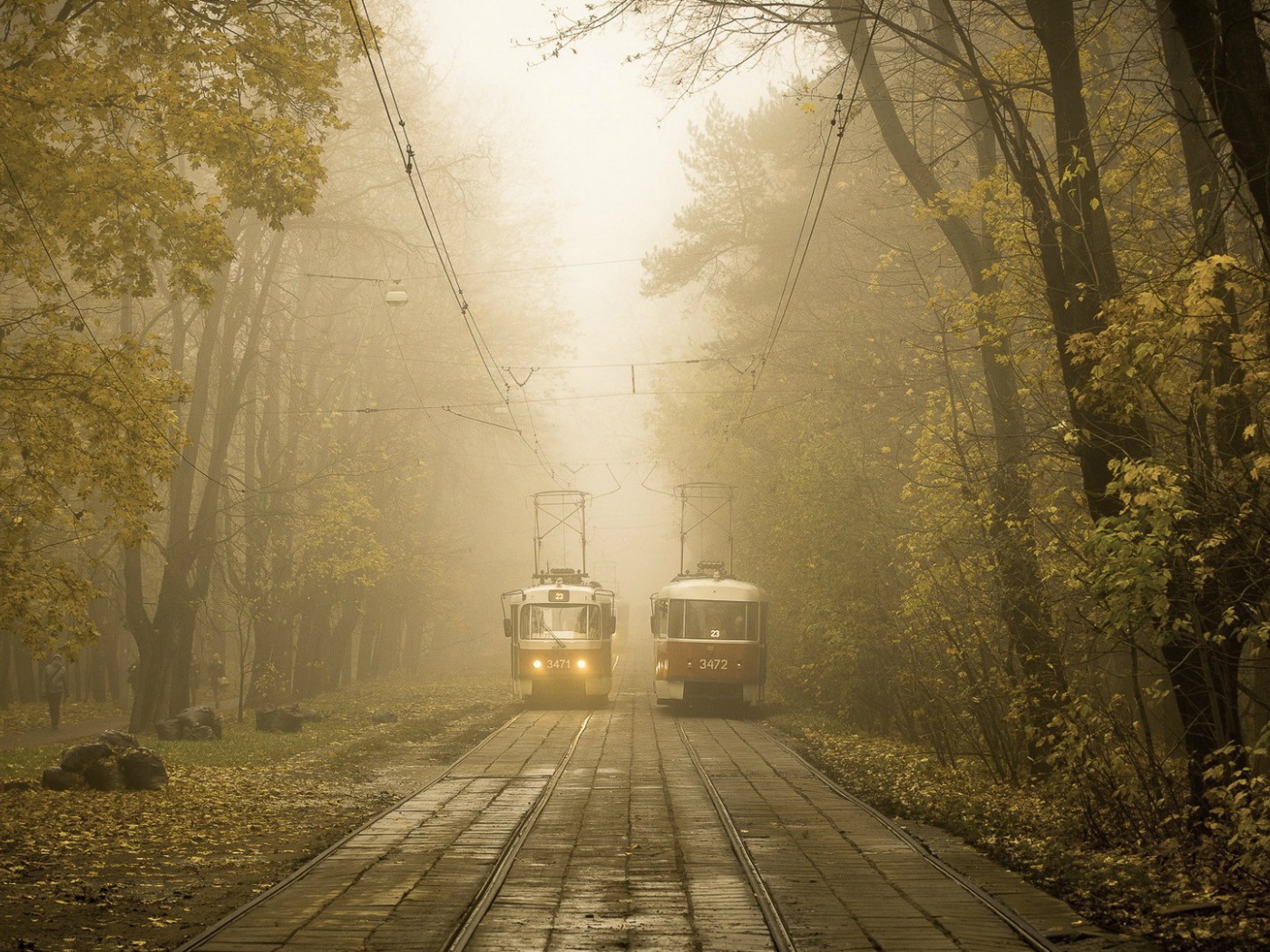 Два трамвая на линии в городском парке
