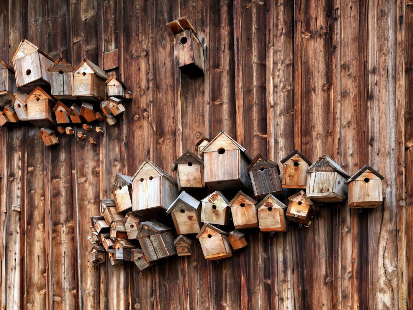 Скворечники на деревянной стене