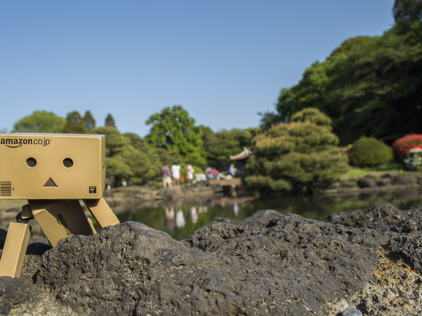 Данбору кун прячется за камнем