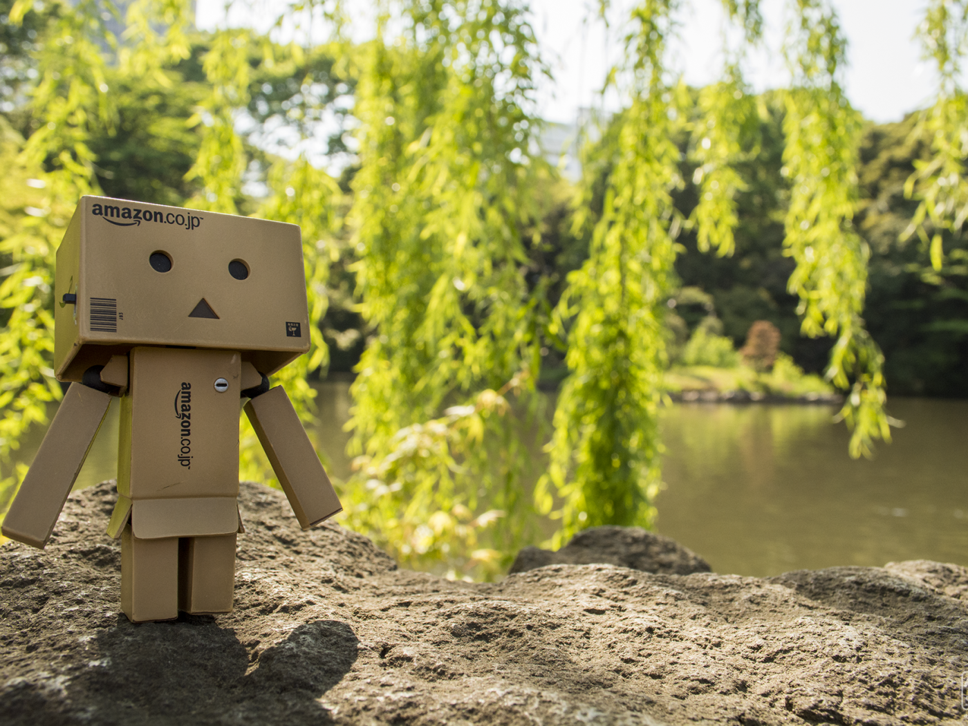 Дандо на земле в саду