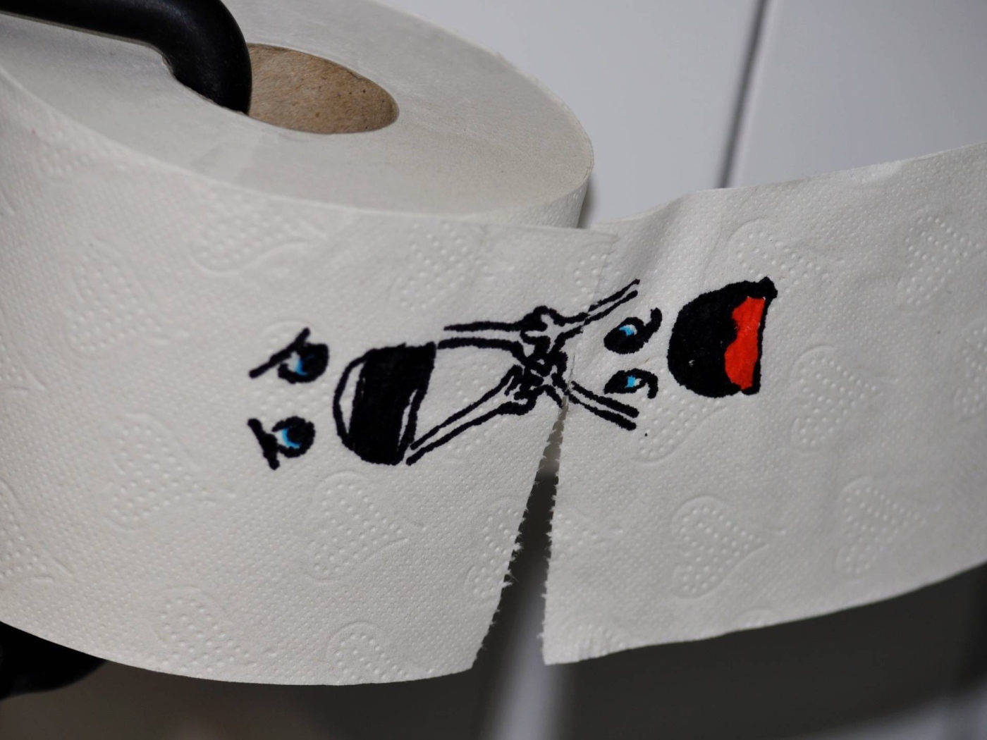 Рисунок на туалетной бумаге