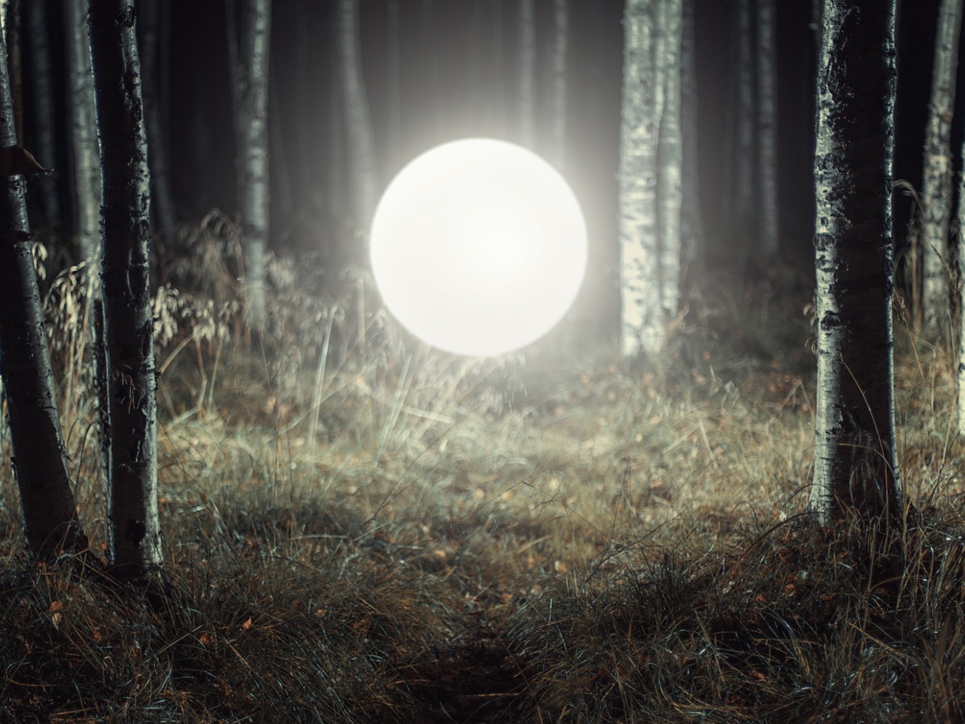 Светящийся шар посреди леса