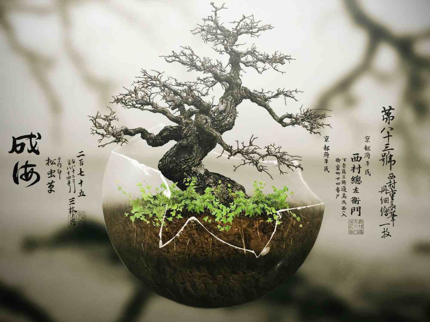 Японский бонсай в прозрачной скорлупе