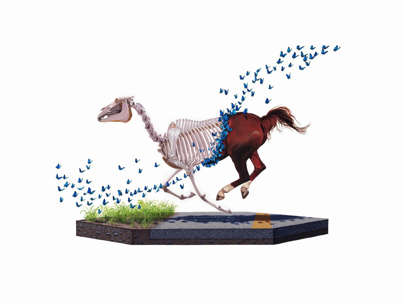 Бабочки съели лошадь