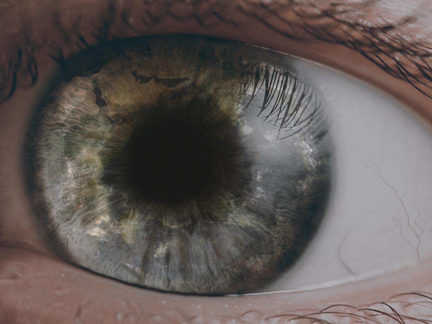 Открытый глаз человека