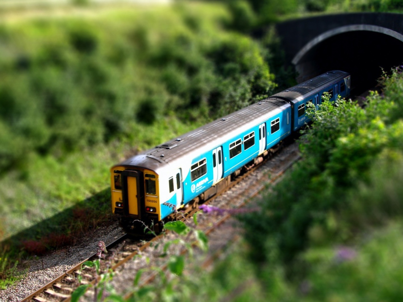 Пассажирский поезд скрывается в тоннеле