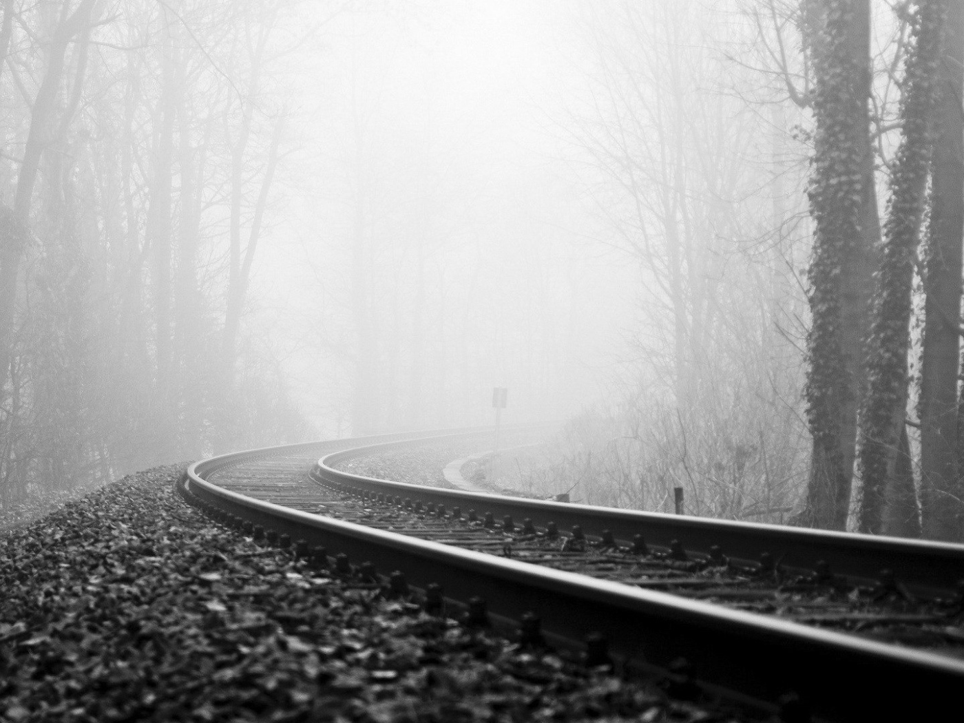 Железная дорога в тумане