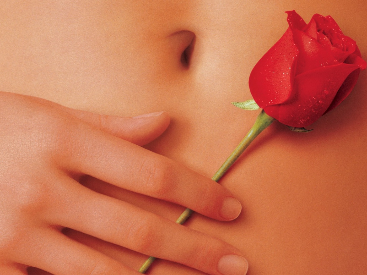 Роза на животе у девушки