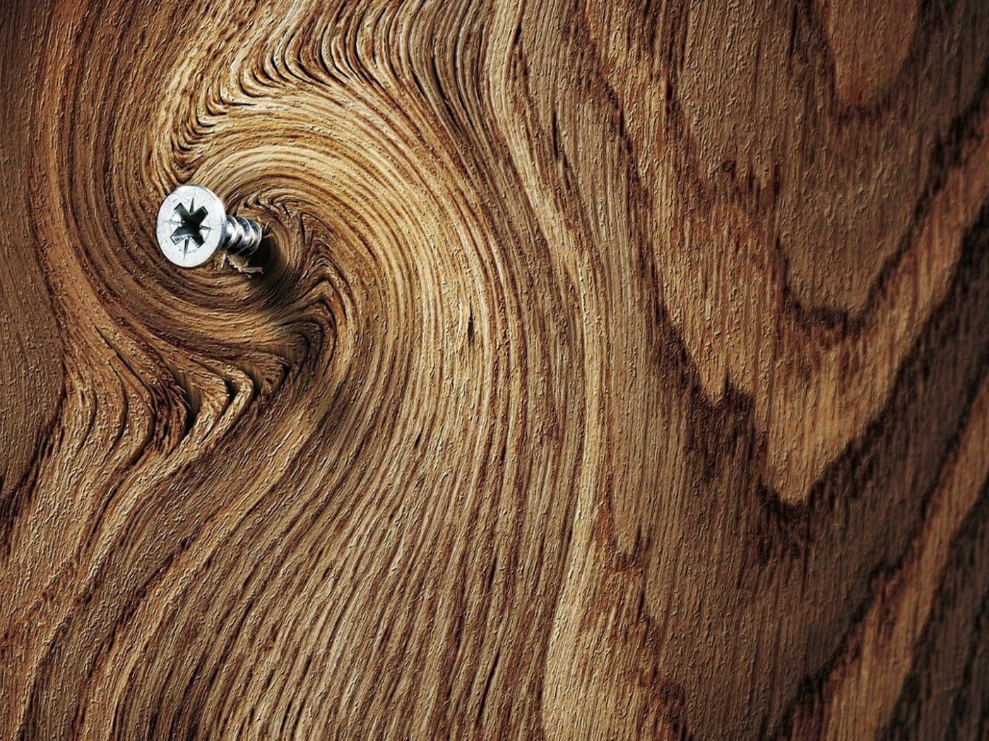 Шуруп в деревянной доске