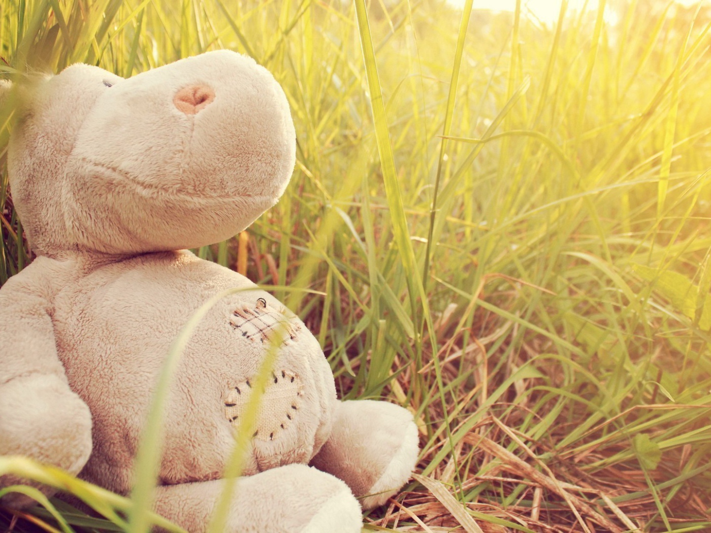 Игрушечный бегемот в траве