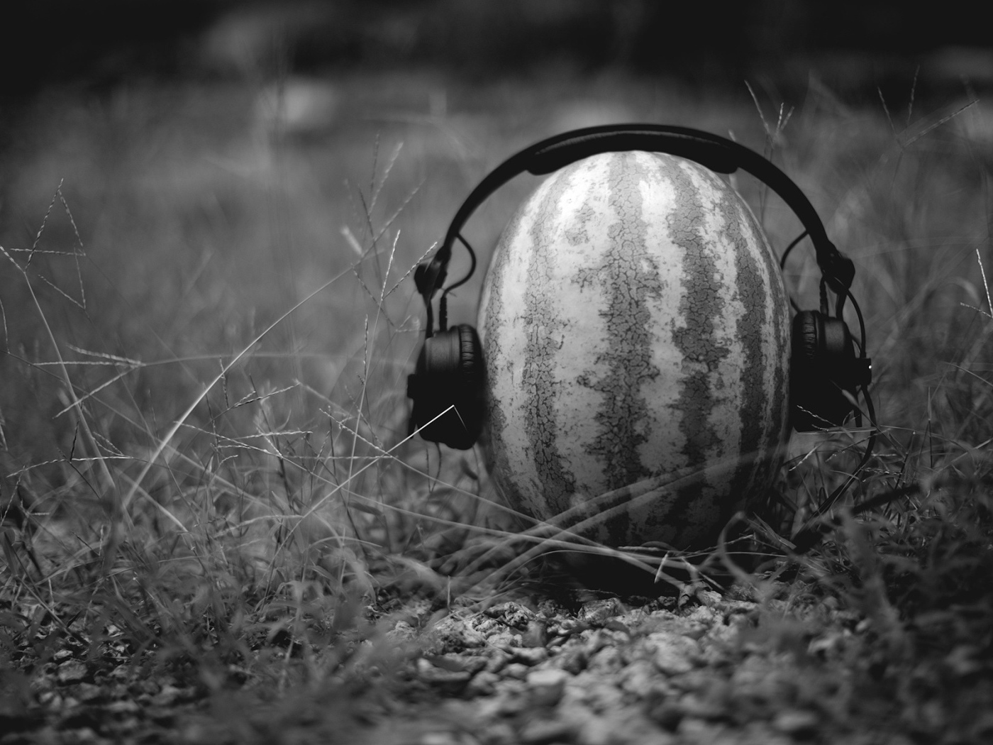 Арбуз в наушниках