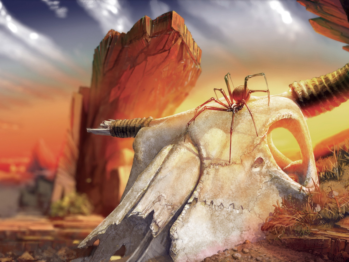 Паук на черепе