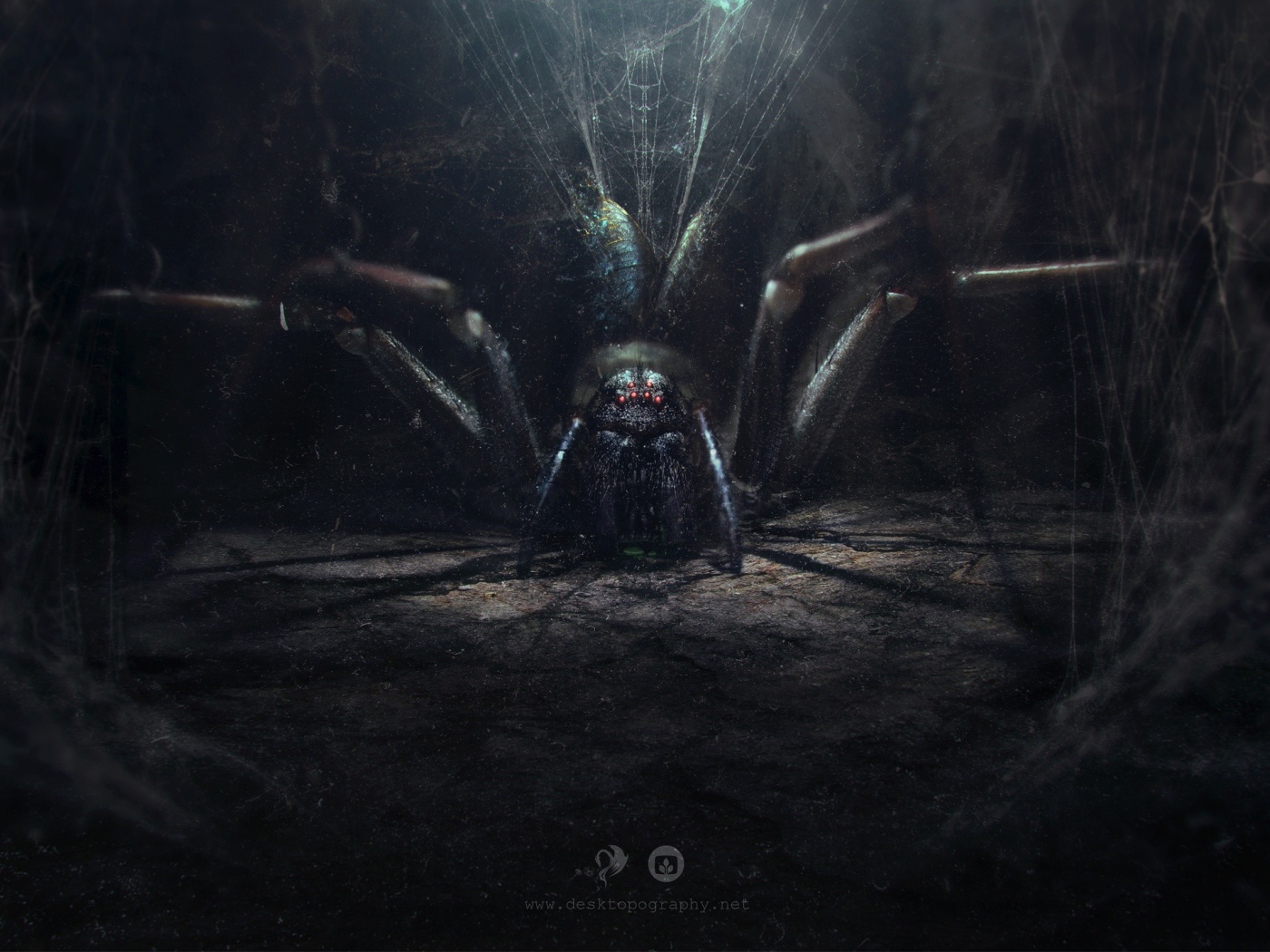 Огромный паук в своем логове