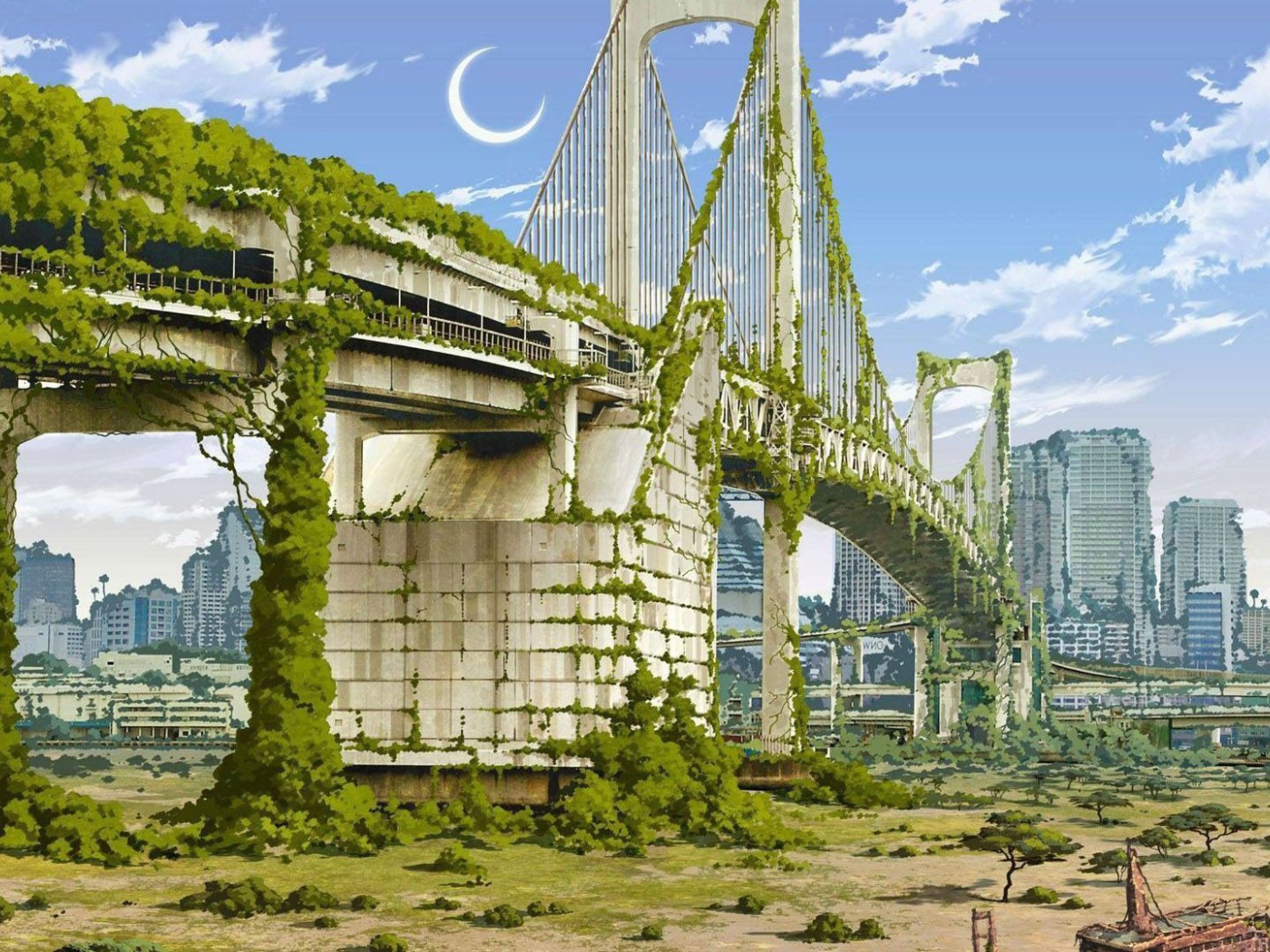 Мост в Нью-Йорке зарос зеленью