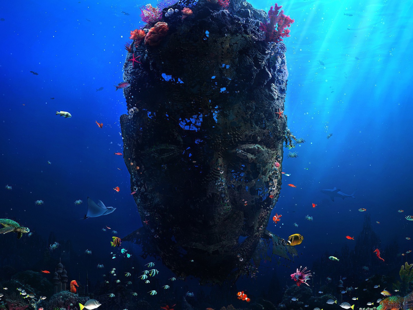 Лицо из кораллов под водой