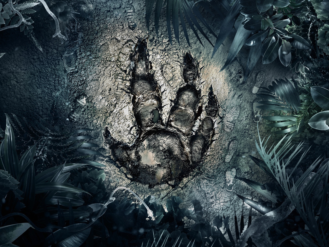 След загадочного зверя